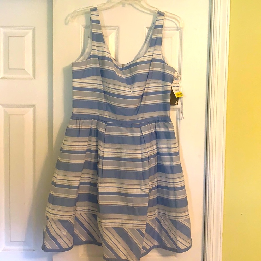 Blue and white stripped dress. Never worn.